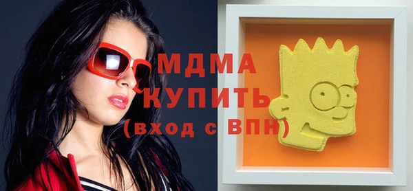 мдпв Каменка