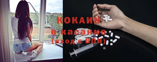 мдпв Каменка