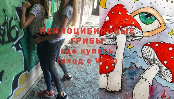 МДПВ Иннополис