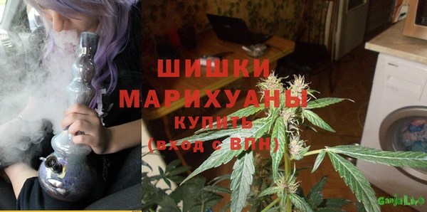 первитин Инсар