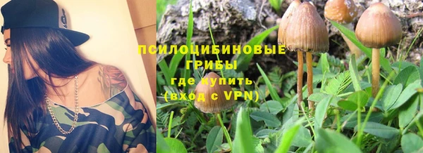 ALPHA-PVP Инта