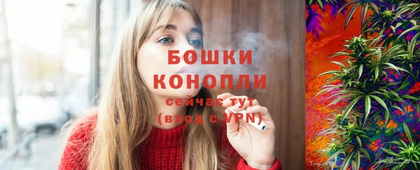 мдпв Каменка