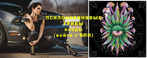 ALPHA-PVP Инта