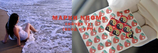 мдпв Каменка